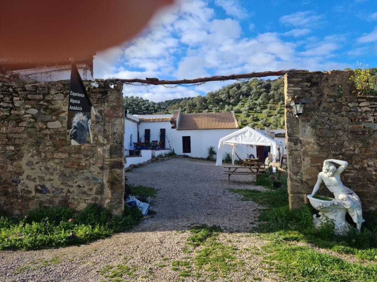 Experience Alpacas In Andalucia Lägenhet Córdoba Exteriör bild