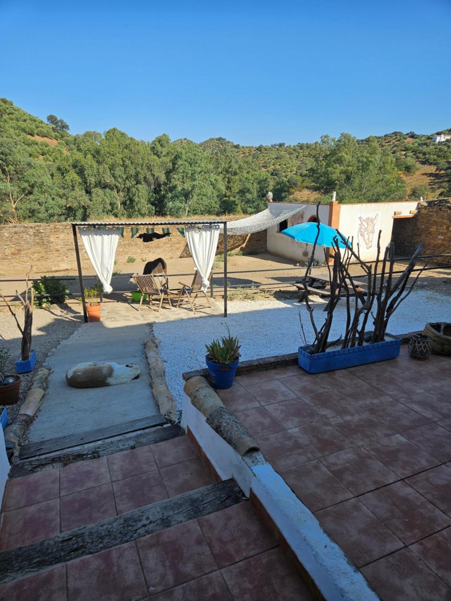 Experience Alpacas In Andalucia Lägenhet Córdoba Exteriör bild